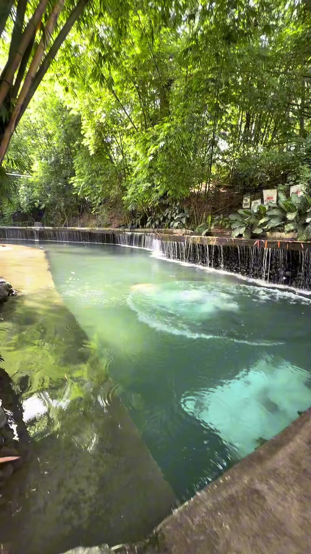 Spring-fed pools under the trees, a picnic table lunch, and cold water in the middle of a hot afternoon.